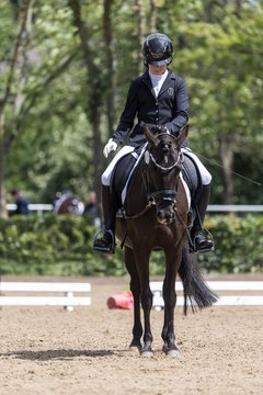 Bild 391 - Pony Akademie Turnier
